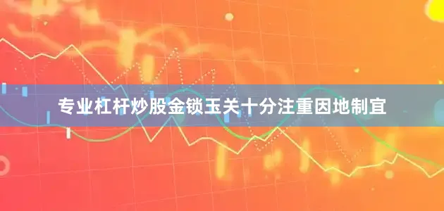 专业杠杆炒股金锁玉关十分注重因地制宜